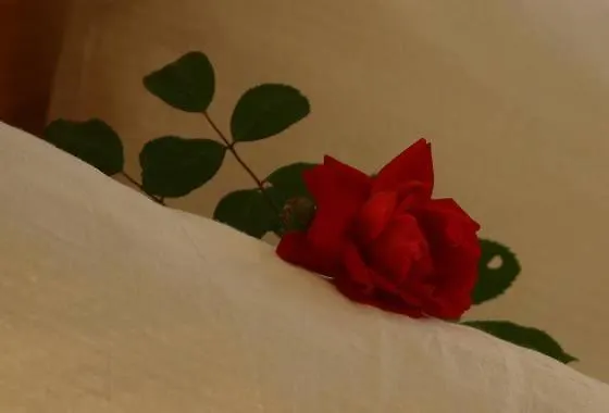 弗莱克霍夫旅馆