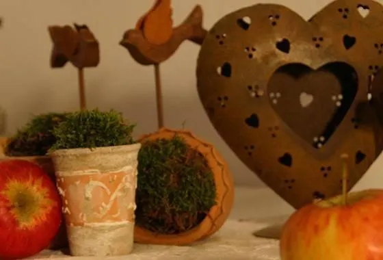 Fleckhof 4* Rehoboth Beach