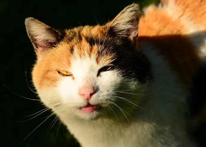 Konukevi Fleckhof Rehoboth Beach