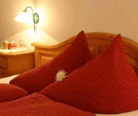 弗莱克霍夫旅馆 4* 施图拜河谷新施蒂夫特