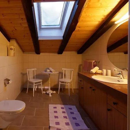 弗莱克霍夫旅馆 招待所 施图拜河谷新施蒂夫特