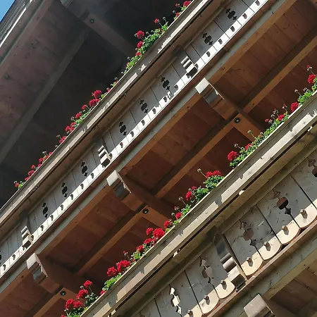 Fleckhof Gasthuis 4*